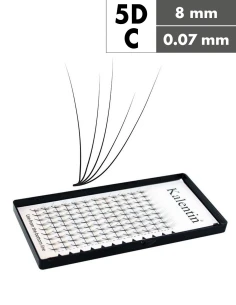 Extension ciglia 5D C Ø0,07 - 8mm effetto bagnato | Kalentin