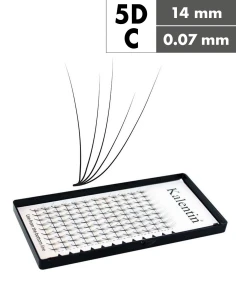 Extension ciglia 5D C Ø0,07 - 14mm effetto bagnato | Kalentin