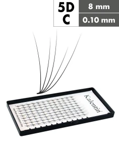 Extension ciglia 5D C Ø0,10 - 8mm effetto bagnato | Kalentin
