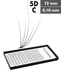 Extension ciglia 5D C Ø0,10 - 12mm effetto bagnato | Kalentin