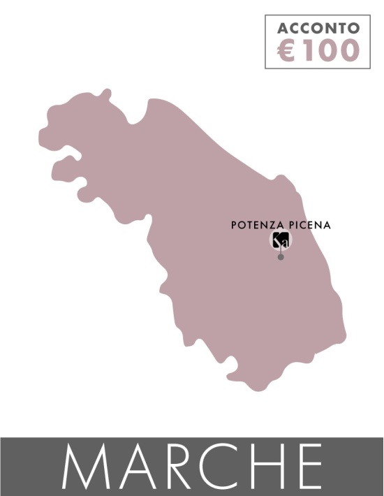 MARCHE - Doppio corso laminazione ciglia e sopracciglia coreana