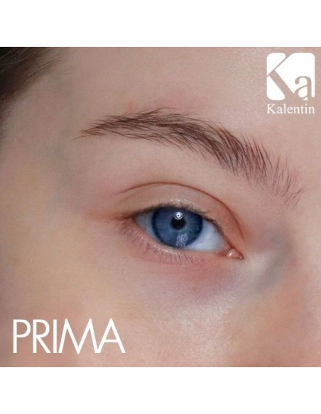 CISTEAMMINA KIT GOLD laminazione sopracciglia (10 applicazioni) | Kalentin Cosmetics